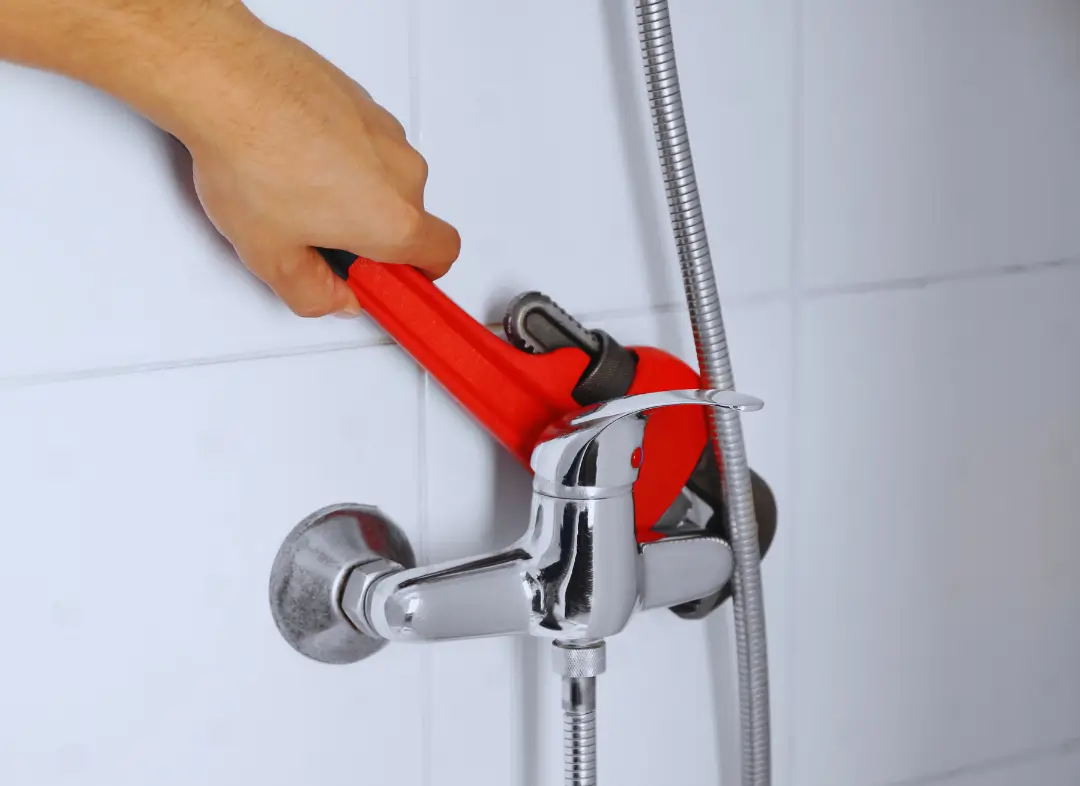 Mitigeur Thermostatique douche Léguevin