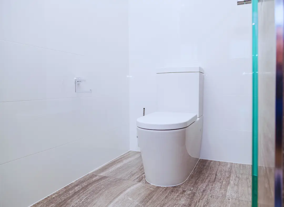 Remplacement de wc Léguevin