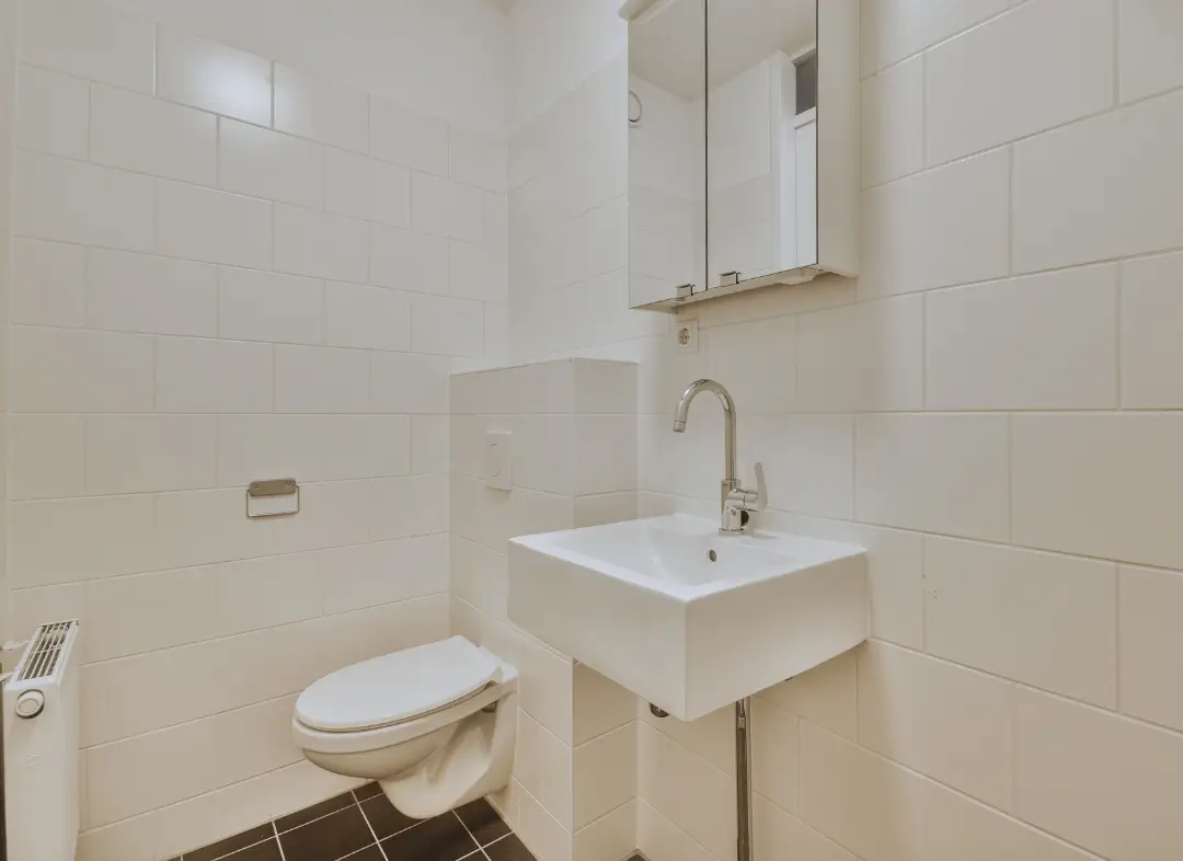 Pose WC Suspendu Léguevin